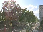 WebCam Barcelona (Arts Santa Mònica)