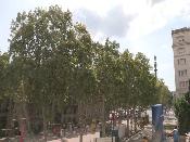 WebCam Barcelona (Arts Santa Mònica)